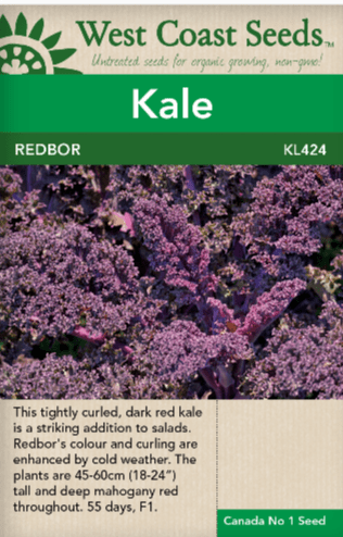 Kale Redbor - West Coast Seeds