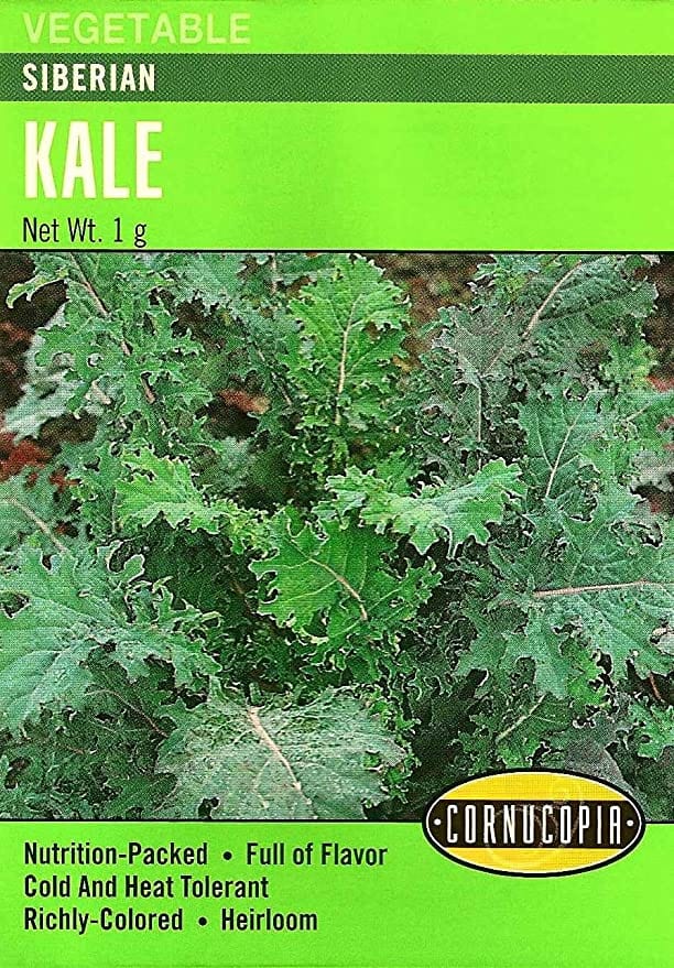 Kale Siberian - Cornucopia Seeds