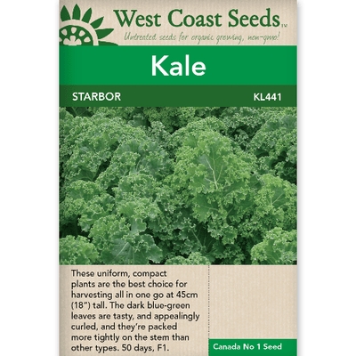 Kale Starbor - West Coast Seeds