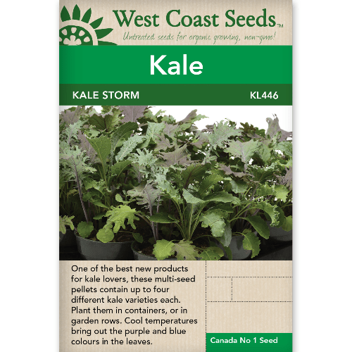 Kale Storm - West Coast Seeds