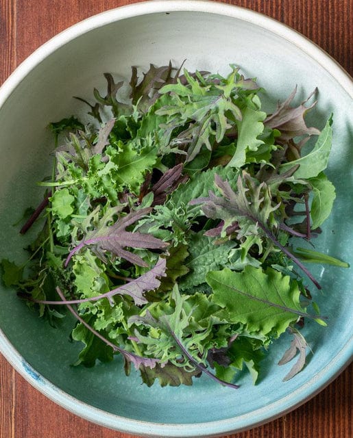 Kale Storm - West Coast Seeds