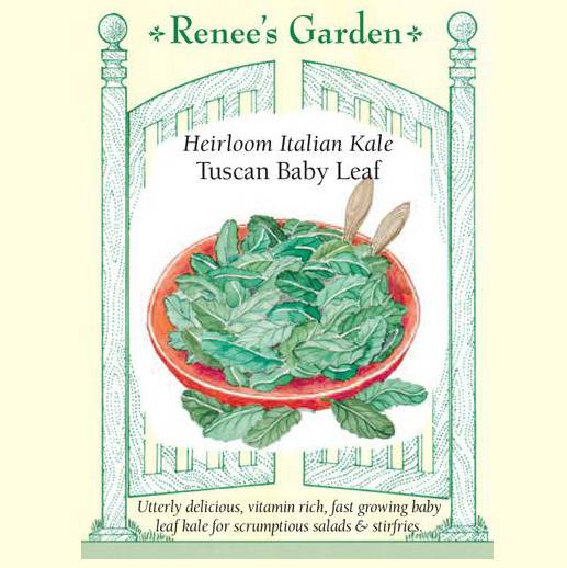 Kale Tuscan Baby Leaf - Renee's Garden