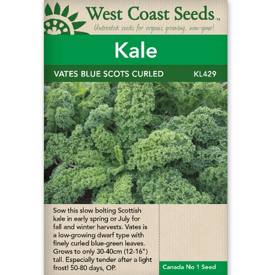 Kale Vates Blue Curled Scotch - West Coast Seeds