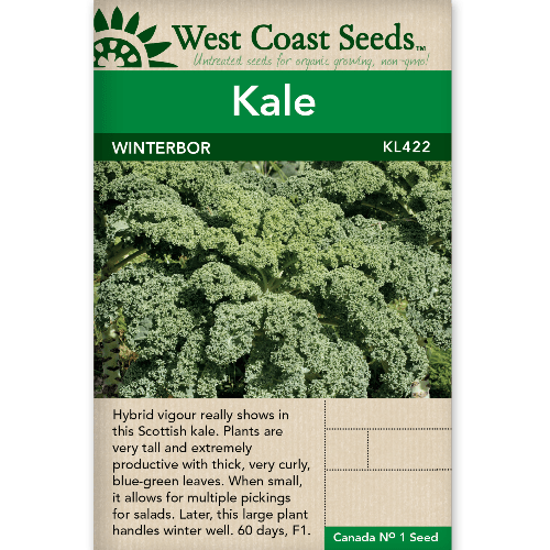 Kale Winterbor - West Coast Seeds