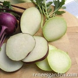 Kohlrabi Crispy Colors Duo - Renee's Garden Seeds
