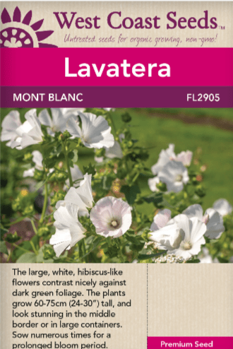 Lavatera Mont Blanc - West Coast Seeds