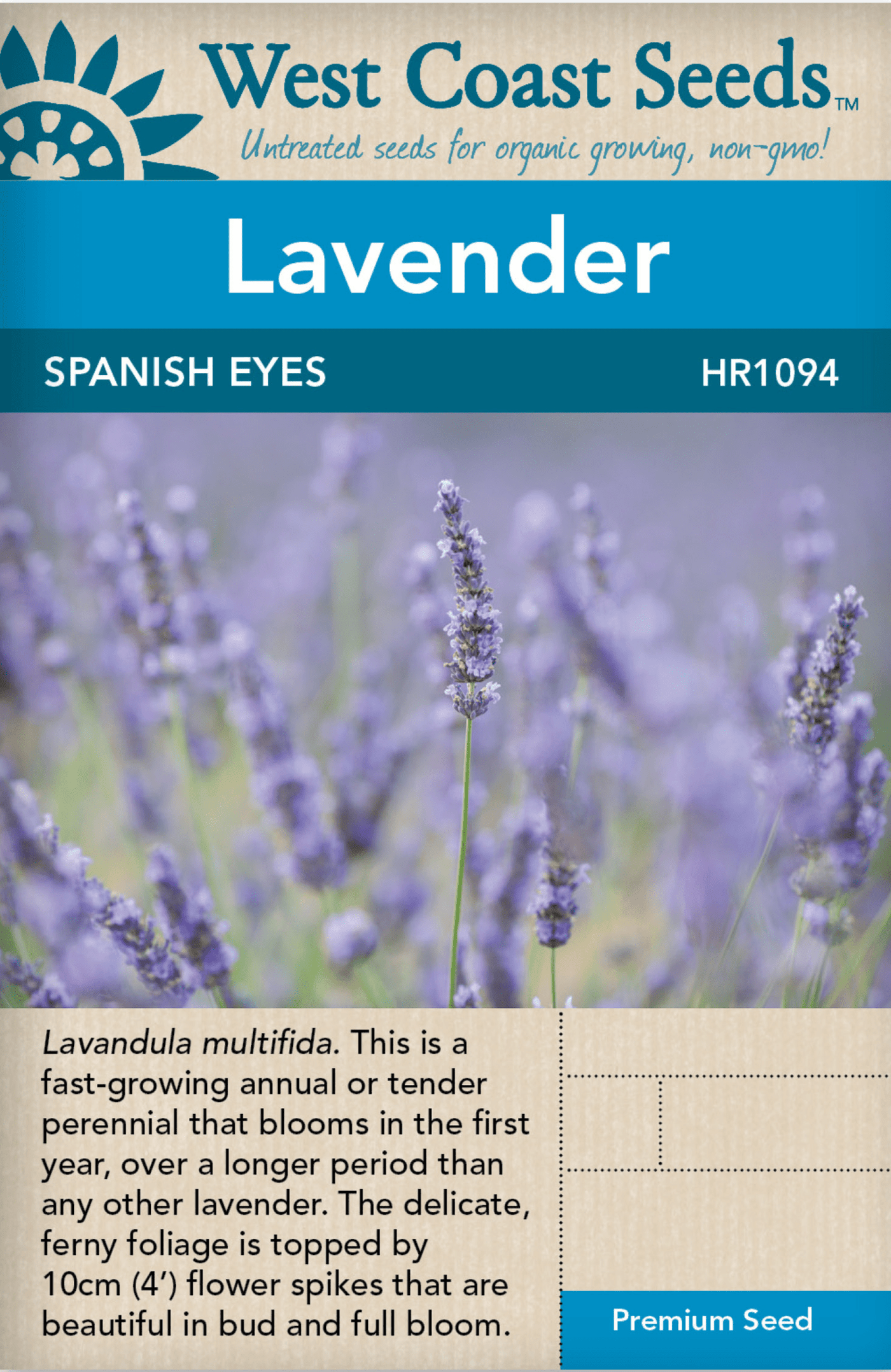 Lavender Spanish Eyes - West Coast Seeds