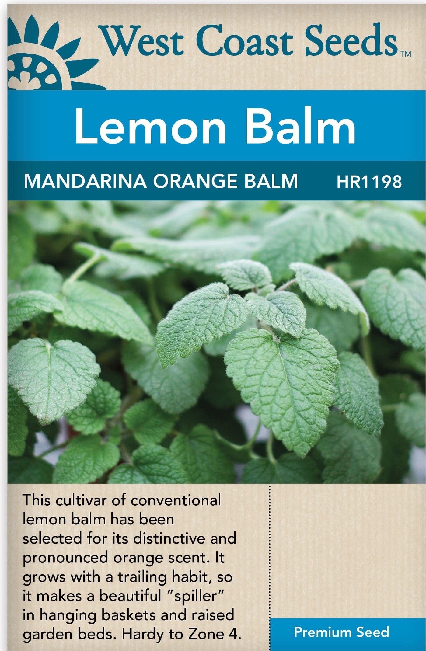 Lemon Balm Mandarina Orange - West Coast Seeds Ltd