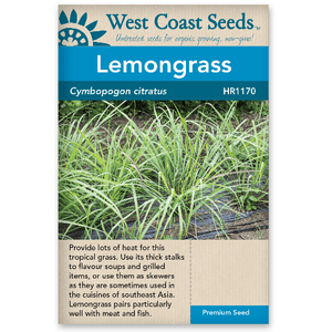 Lemongrass - West Coast Seeds
