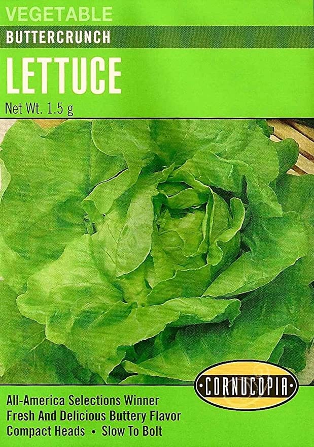 Lettuce Buttercrunch - Cornucopia Seeds