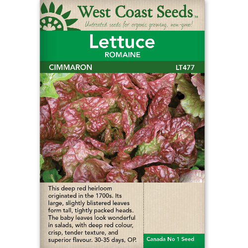 Lettuce Cimmaron - West Coast Seeds