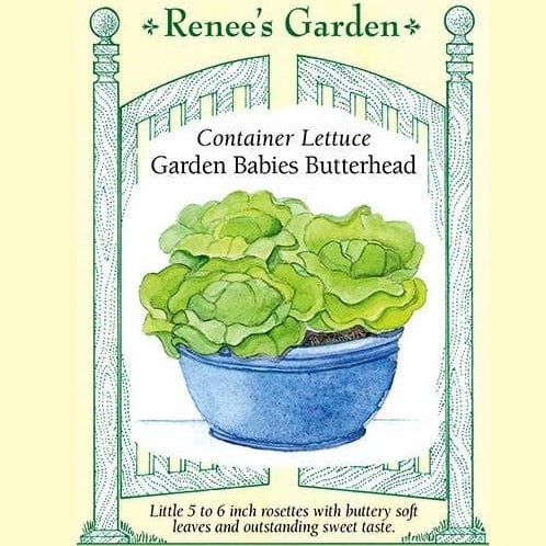 Lettuce Garden Babies - Renee's Garden Seeds
