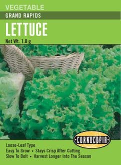 Lettuce Grand Rapids - Cornucopia Seeds