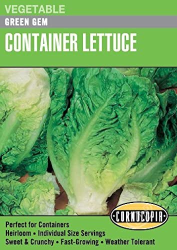 Lettuce Green Gem - Cornucopia Seeds