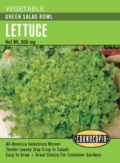 Lettuce Green Salad Bowl - Cornucopia Seeds
