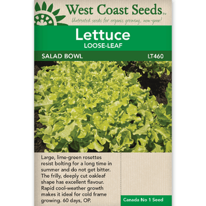 Lettuce Green Salad Bowl - West Coast Seeds