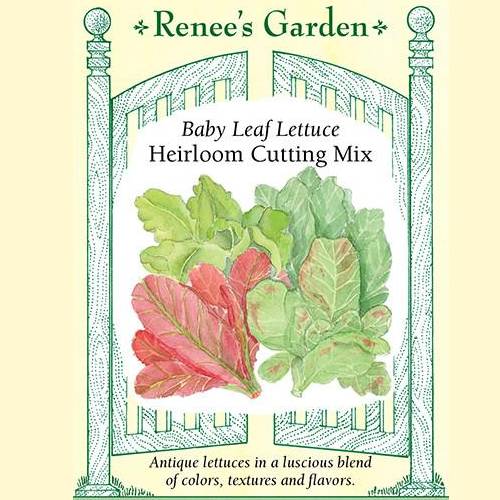Lettuce Heirloom Cutting Mix - Renee's Garden