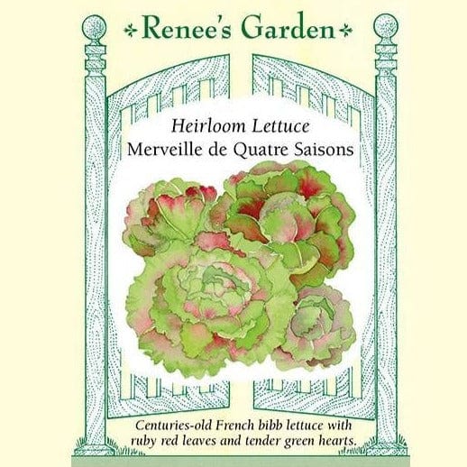 Lettuce Merveille 4 Saisons - Renee`s Garden Seeds
