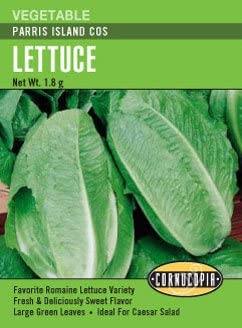 Lettuce Parris Island Cos - Cornucopia Seeds