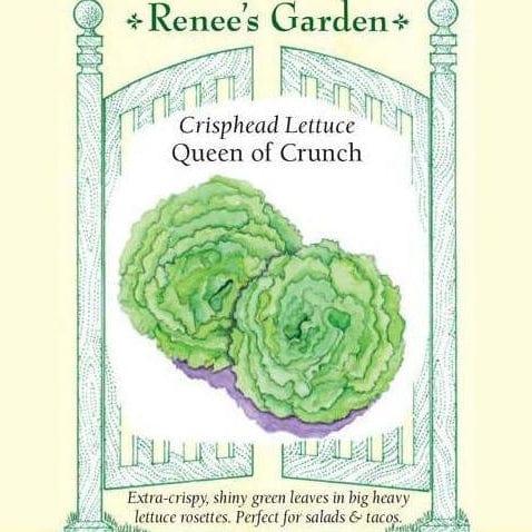 Lettuce Queen of Crunch - Renee's Garden