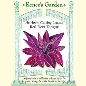 Lettuce Red Deer Tongue - Renee's Garden Seeds