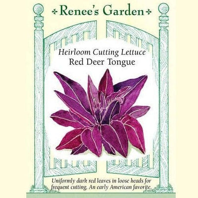 Lettuce Red Deer Tongue - Renee's Garden Seeds