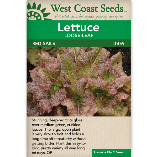 Lettuce Red Sails - West Coast Seeds