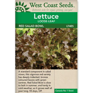 Lettuce Red Salad Bowl - West Coast Seeds