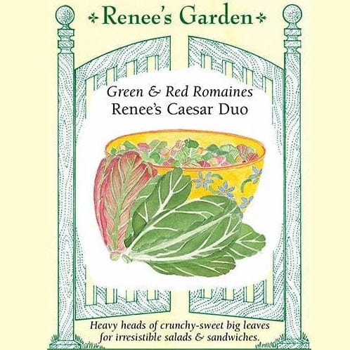 Lettuce Renee's Caeser Duo - Renee's Garden Seeds