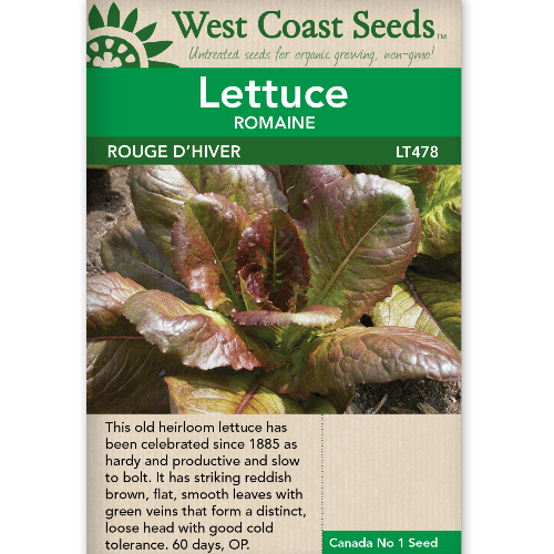 Lettuce Rouge D'Hiver - West Coast Seeds