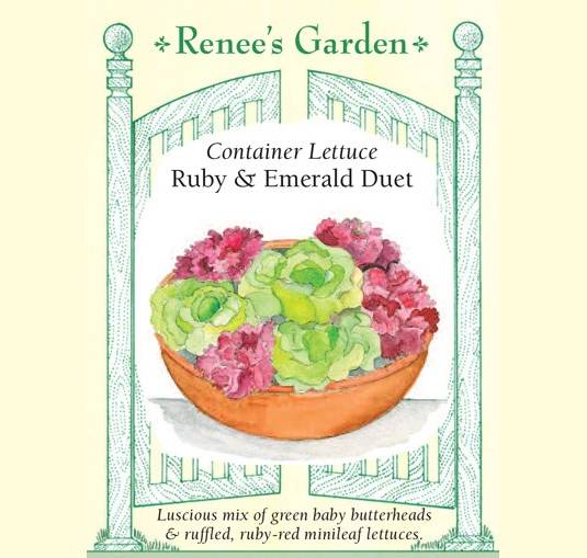 Lettuce Ruby & Emerald Duet - Renee's Garden Seeds