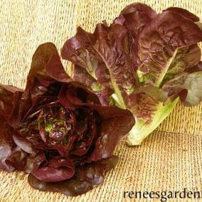 Lettuce Ruby Gem - Renee's Garden