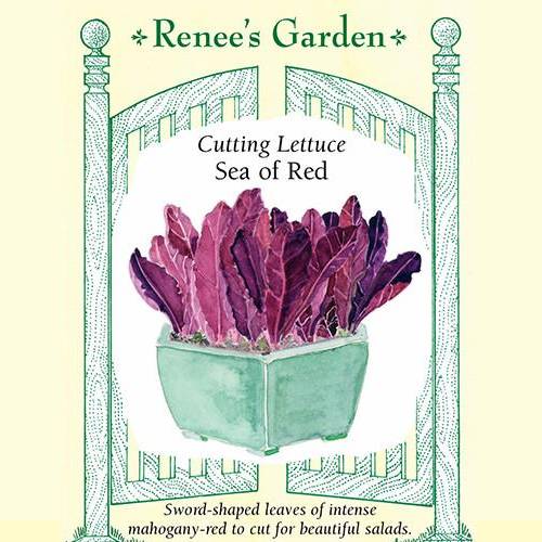 Lettuce Sea of Red - Renee's Garden