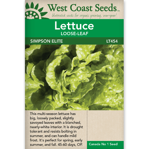 Lettuce Simpson Elite - West Coast Seeds