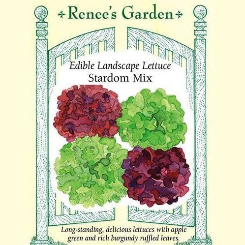 Lettuce Stardom Mix - Renee's Garden Seeds