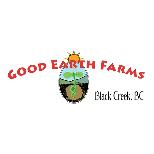 Lettuce Sunfire Red Oak - Good Earth Farms