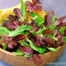 Lettuce Sweet Greens/Reds - Renee's Garden