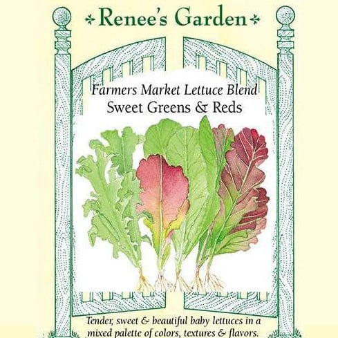 Lettuce Sweet Greens/Reds - Renee's Garden