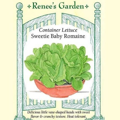 Sweetie Baby Romaine