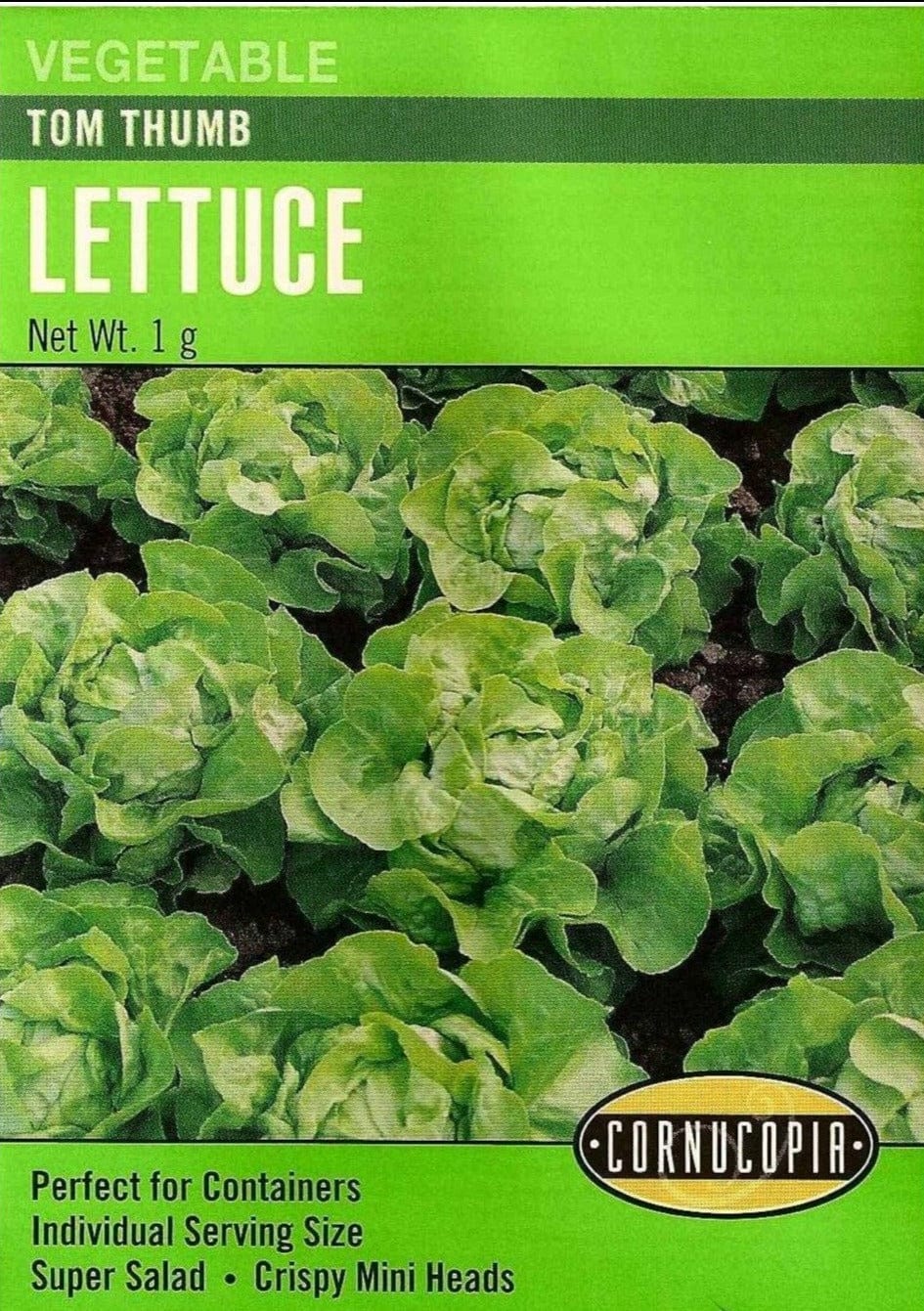 Lettuce Tom Thumb - Cornucopia Seeds