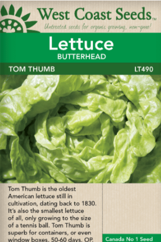 Lettuce Tom Thumb - West Coast Seeds