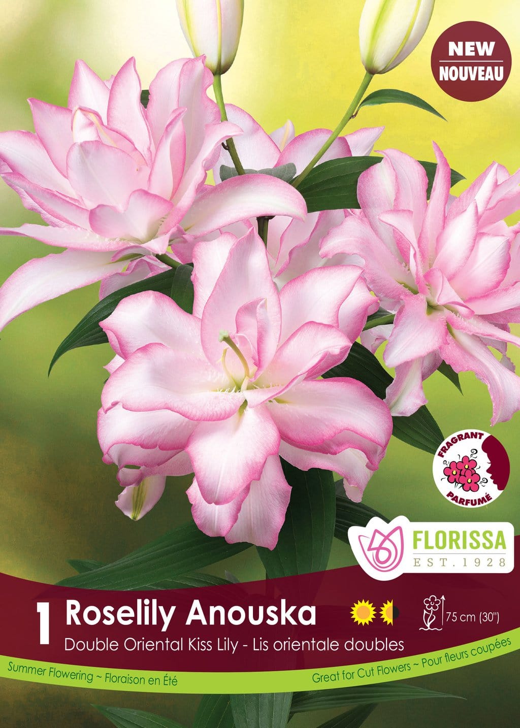 Lily, Double Oriental Kiss - Roselily Anouska