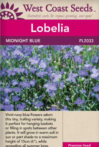 Lobelia Midnight Blue - West Coast Seeds