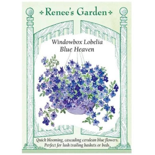 Lobelia Windowbox Blue Heaven - Renee's Garden Seeds