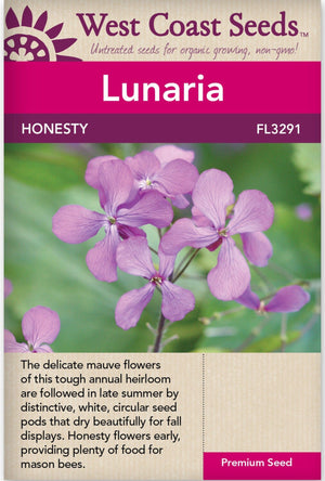 Lunaria Honesty - West Coast Seeds
