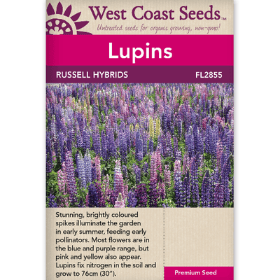 Lupins Russell Hybrids - West Coast Seeds