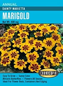 Marigold Dainty Marietta - Cornucopia Seeds