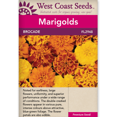 Marigold Brocade - West Coast Seeds