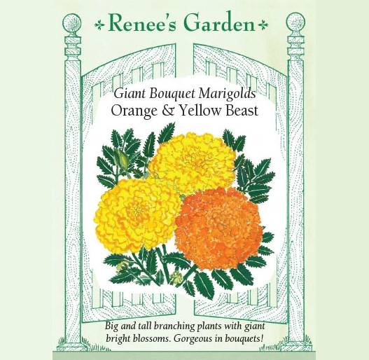 Marigolds Orange & Yellow - Renee's Garden Seeds