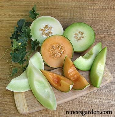 Melons Three Flavor - Renee's Garden Seeds